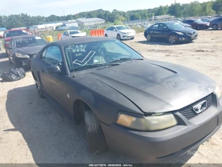 FORD FORD MUSTANG