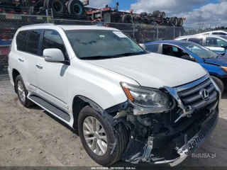 LEXUS LEXUS GX 460