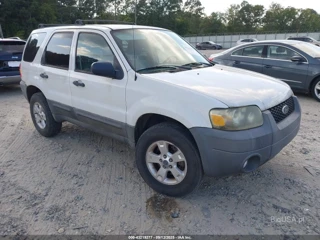 FORD FORD ESCAPE XLT/XLT SPORT