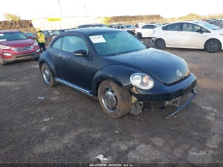 VOLKSWAGEN VOLKSWAGEN BEETLE 2.5L