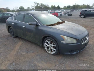 NISSAN NISSAN MAXIMA 3.5 SV