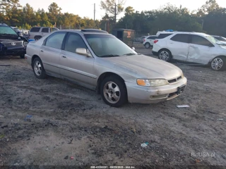 HONDA HONDA ACCORD SE