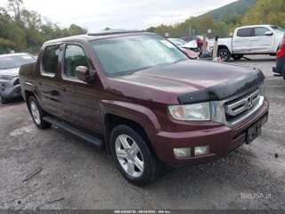 HONDA HONDA RIDGELINE RTL