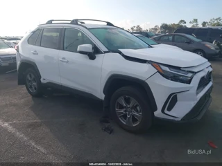 TOYOTA TOYOTA RAV4 HYBRID LE