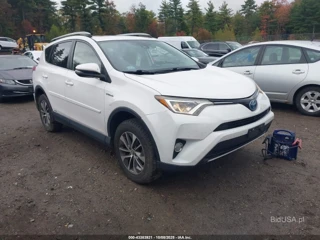 TOYOTA TOYOTA RAV4 HYBRID XLE