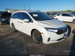 HONDA HONDA ODYSSEY EX-L