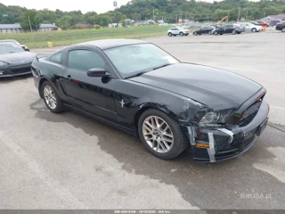 FORD FORD MUSTANG V6 PREMIUM