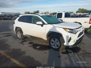 TOYOTA TOYOTA RAV4 HYBRID XLE