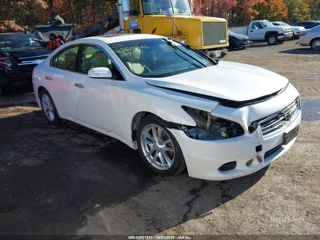NISSAN NISSAN MAXIMA 3.5 SV