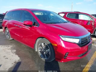 HONDA HONDA ODYSSEY ELITE