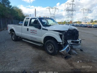 FORD FORD F-250 XL
