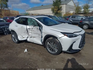LEXUS LEXUS NX 350H PREMIUM