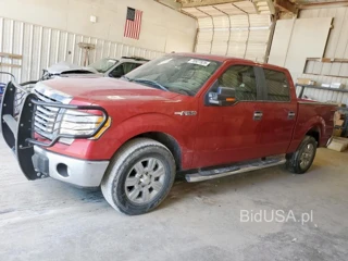 FORD F150
