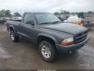 DODGE DODGE DAKOTA