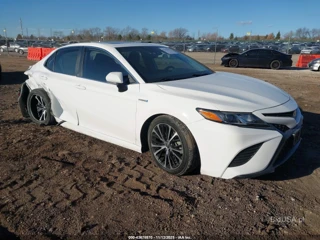 TOYOTA TOYOTA CAMRY HYBRID SE