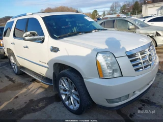 CADILLAC CADILLAC ESCALADE STANDARD