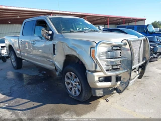 FORD FORD F-250 PLATINUM
