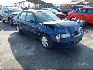 TOYOTA TOYOTA COROLLA LE