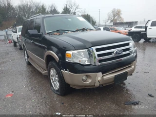 FORD FORD EXPEDITION XLT
