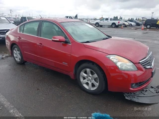 NISSAN NISSAN ALTIMA HYBRID
