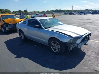 FORD FORD MUSTANG V6