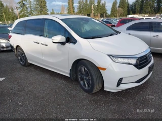 HONDA HONDA ODYSSEY ELITE