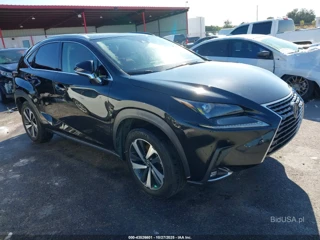 LEXUS LEXUS NX 300H