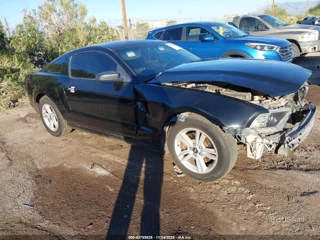 FORD FORD MUSTANG V6