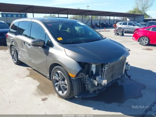 HONDA HONDA ODYSSEY ELITE