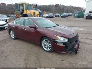 NISSAN NISSAN MAXIMA 3.5 SV