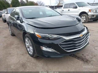 CHEVROLET CHEVROLET MALIBU FWD 1LT