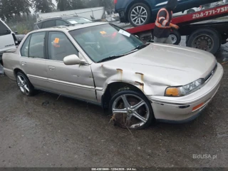 HONDA HONDA ACCORD SE