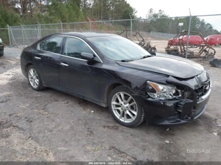 NISSAN NISSAN MAXIMA 3.5 S