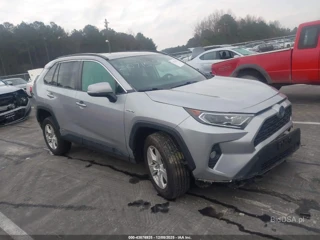 TOYOTA TOYOTA RAV4 HYBRID XLE