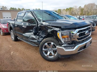FORD FORD F-150 XLT