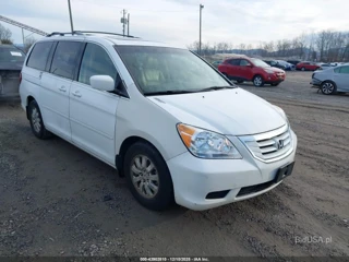 HONDA HONDA ODYSSEY EX-L