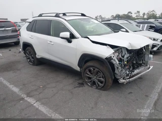 TOYOTA TOYOTA RAV4 HYBRID XLE PREMIUM