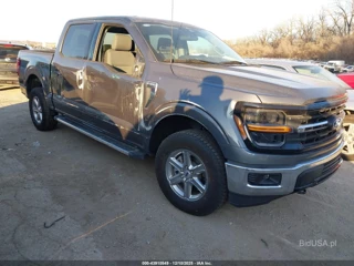 FORD FORD F-150 XLT
