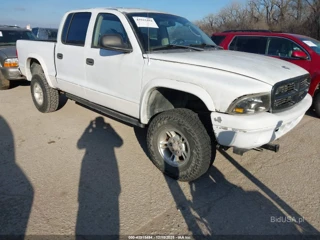 DODGE DODGE DAKOTA SPORT