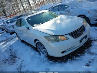 LEXUS LEXUS ES 350