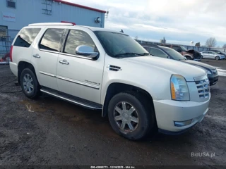 CADILLAC CADILLAC ESCALADE STANDARD