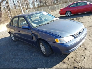 TOYOTA TOYOTA COROLLA LE