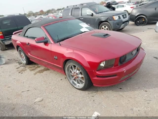 FORD FORD MUSTANG GT