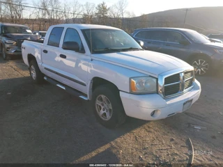 DODGE DODGE DAKOTA SLT
