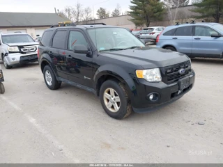 FORD FORD ESCAPE HYBRID
