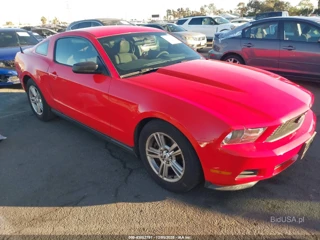 FORD FORD MUSTANG V6