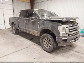 FORD FORD F-250 PLATINUM