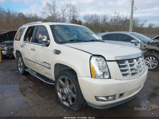 CADILLAC CADILLAC ESCALADE STANDARD