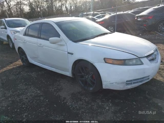 ACURA ACURA TL