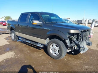 FORD FORD F-150 XL/XLT